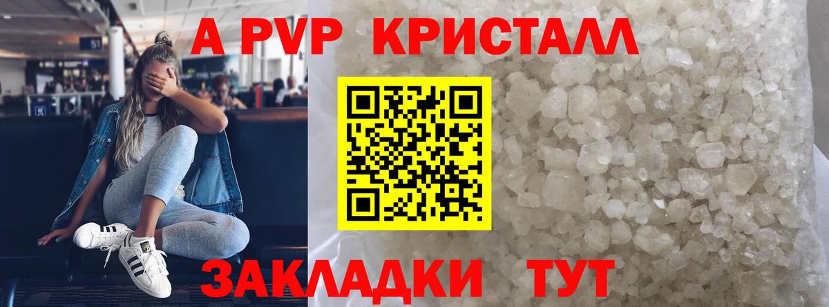 Alpha PVP крисы CK  Alpha PVP СК КРИС  Сосновый Бор  A PVP Соль  где можно купить   Вход с VPN 